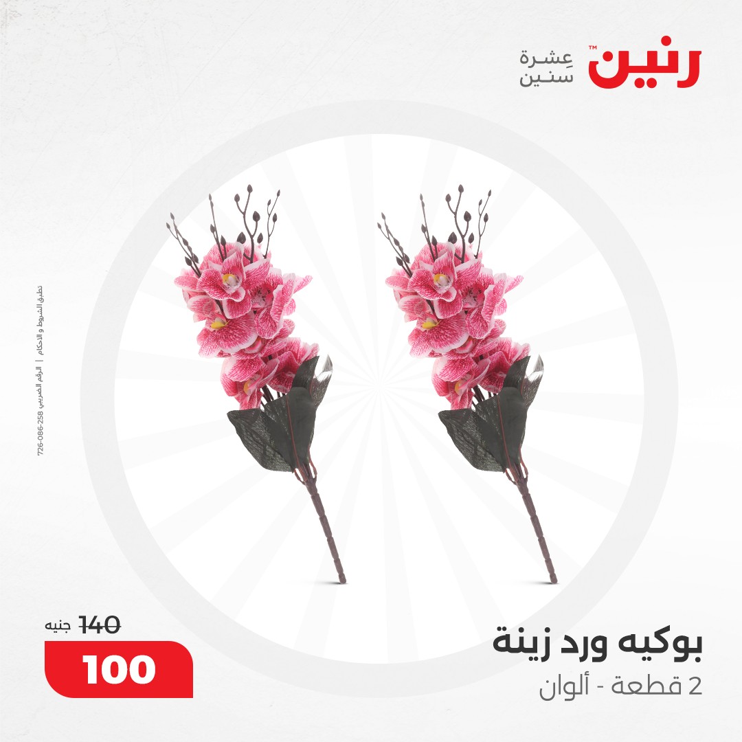 raneen offers from 17dec to 18dec 2024 عروض رنين من 17 ديسمبر حتى 18 ديسمبر 2024 صفحة رقم 165